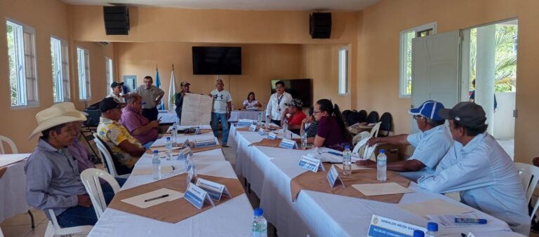 Talleres de Formación de Capacitaciones a los Consejos Comunitarios